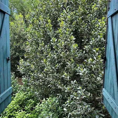 La En Bois De Chez Antoine مونبيلييه