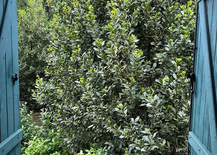 La En Bois De Chez Antoine Μονπελιέ